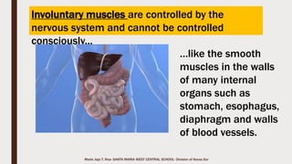 Marie Jaja Tan Roa Santa
The Appendicular Skeleton
enable us to stand up tall, walk
up stairs, and climb.
 