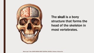Marie Jaja Tan Roa Santa
STRUCTURE AND
FUNCTIONS OF THE
SKELETAL SYSTEM
 