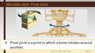 Marie Jaja Tan Roa Santa
Movable Joint: Pivot Joint
 Pivot joint is a joint in which a bone rotates around
another.
 