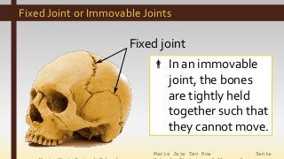 Marie Jaja Tan Roa Santa
Fixed Joint or Immovable Joints
Fixed joint
 In an immovable
joint, the bones
are tightly held
together such that
they cannot move.
 