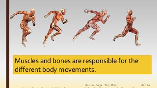 Marie Jaja Tan Roa Santa
Muscles and bones are responsible for the
different body movements.
 