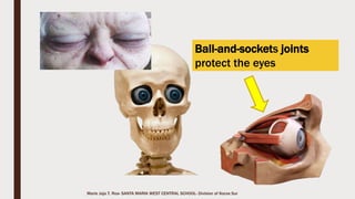 Marie Jaja Tan Roa Santa
Where can you find the smallest
bone in your body?
Where can you find the longest bone
in your body?
What are the bones mentioned in
the poem? Can you feel them?
Are your bones hard? Can they be
broken?
 