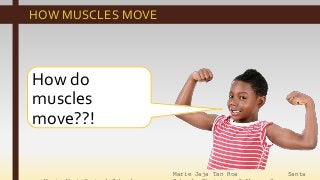 Marie Jaja Tan Roa Santa
How do
muscles
move??!
HOW MUSCLES MOVE
 