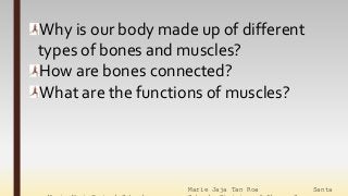 Marie Jaja Tan Roa Santa
Why is our body made up of different
types of bones and muscles?
How are bones connected?
What are the functions of muscles?
 
