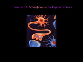 Lesson 14: Schizophrenia Biological Factors
 
