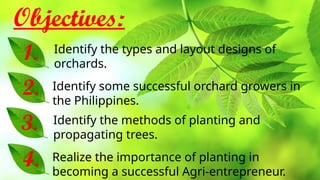 Lesson 1 (4th Q) - Maintaining Orchards - HELE 6.pptx