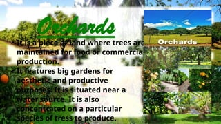 Lesson 1 (4th Q) - Maintaining Orchards - HELE 6.pptx