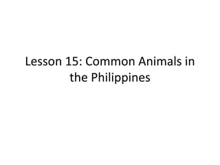 Lesson 15: Common Animals in 
the Philippines 
 