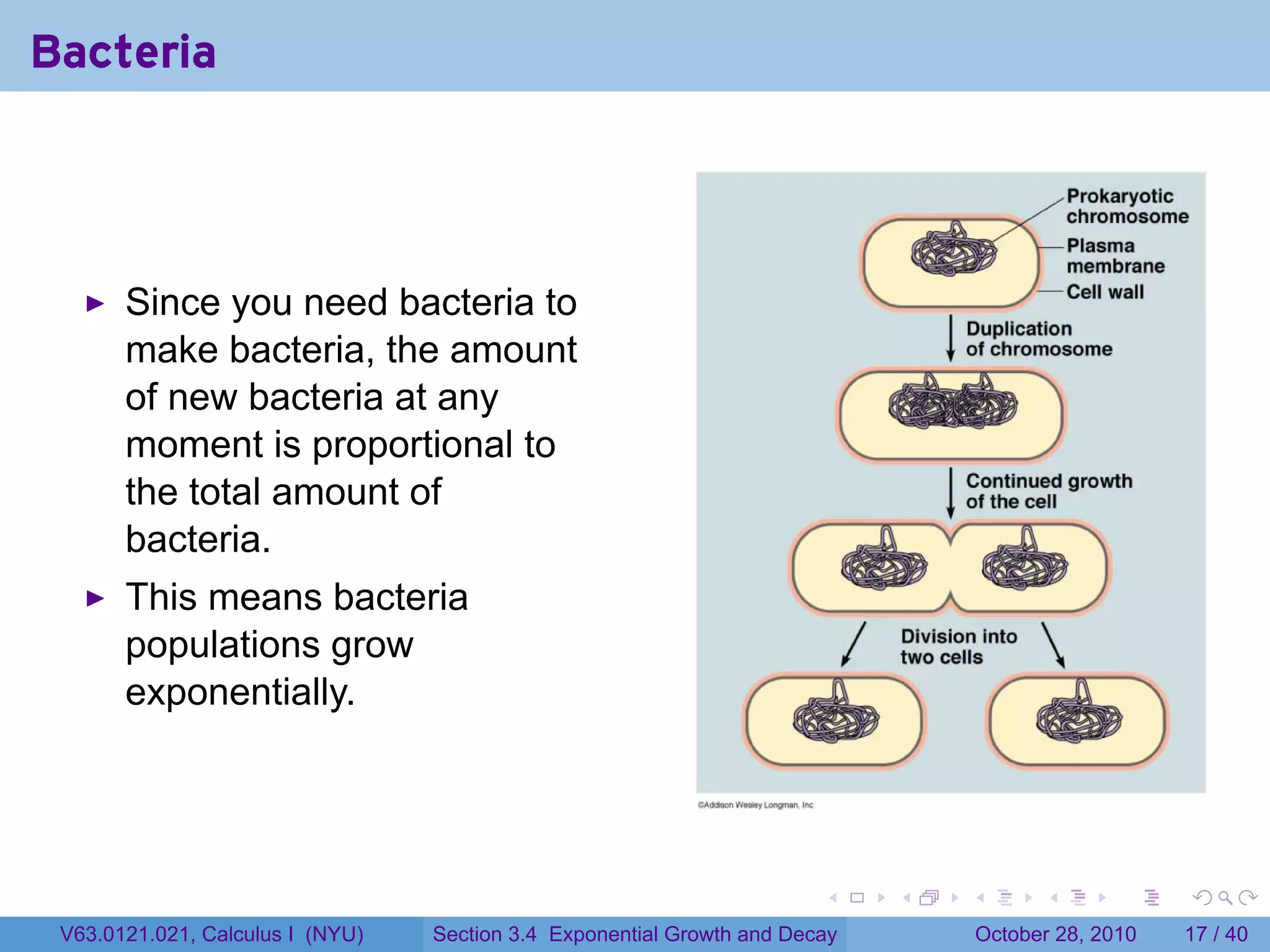Bacteria



       Since you need bacteria to
       make bacteria, the amount
       of new bacteria at any
       moment is proportional to
       the total amount of
       bacteria.
       This means bacteria
       populations grow
       exponentially.




                                                                        .    .   .         .       .    .

 V63.0121.021, Calculus I (NYU)   Section 3.4 Exponential Growth and Decay           October 28, 2010   17 / 40
 