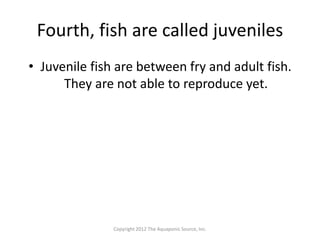 Lesson 15 fish life cycle | PPTX