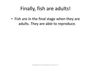 Lesson 15 fish life cycle | PPTX