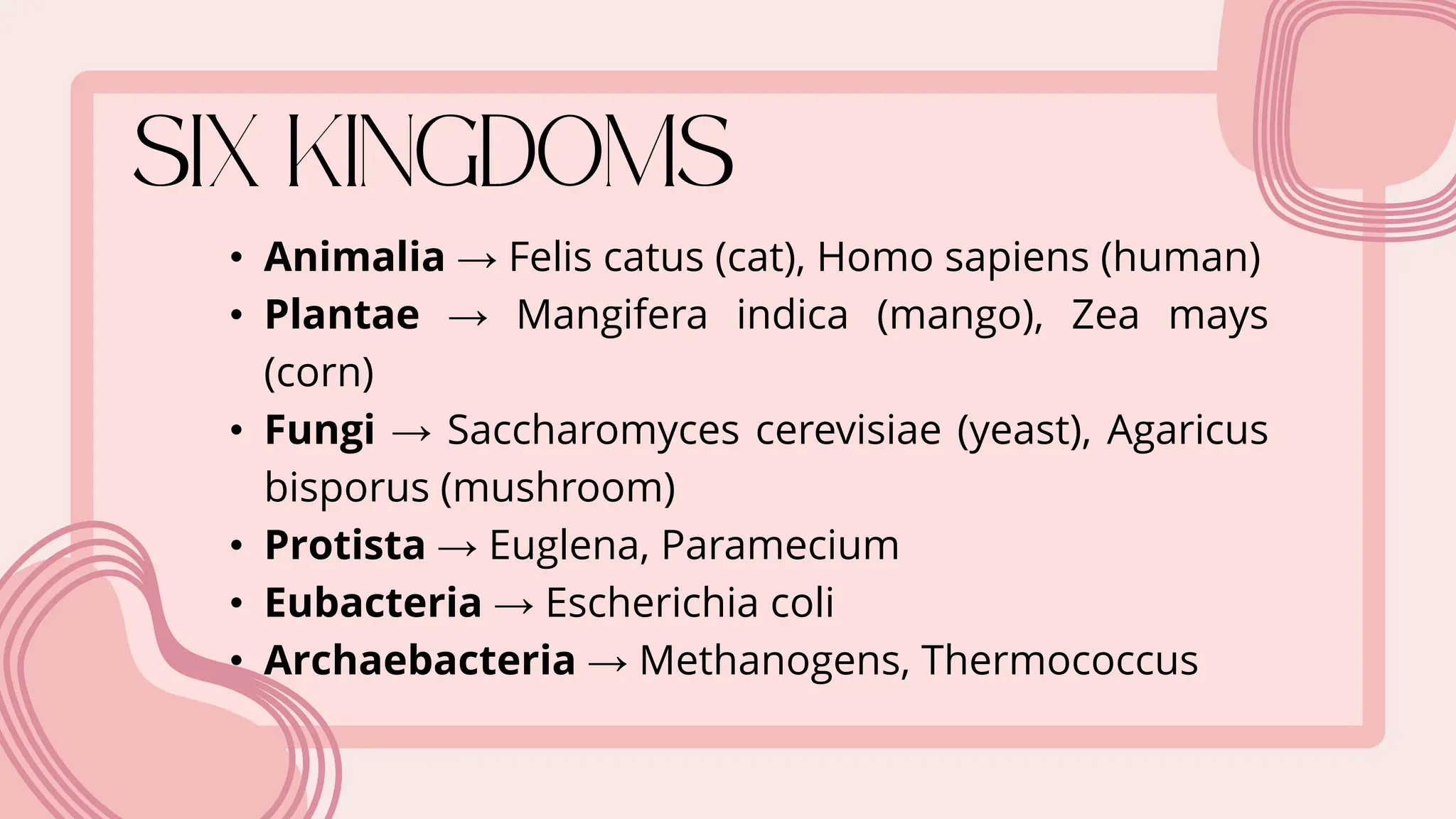 • Animalia → Felis catus (cat), Homo sapiens (human)
• Plantae → Mangifera indica (mango), Zea mays
(corn)
• Fungi → Saccharomyces cerevisiae (yeast), Agaricus
bisporus (mushroom)
• Protista → Euglena, Paramecium
• Eubacteria → Escherichia coli
• Archaebacteria → Methanogens, Thermococcus
 