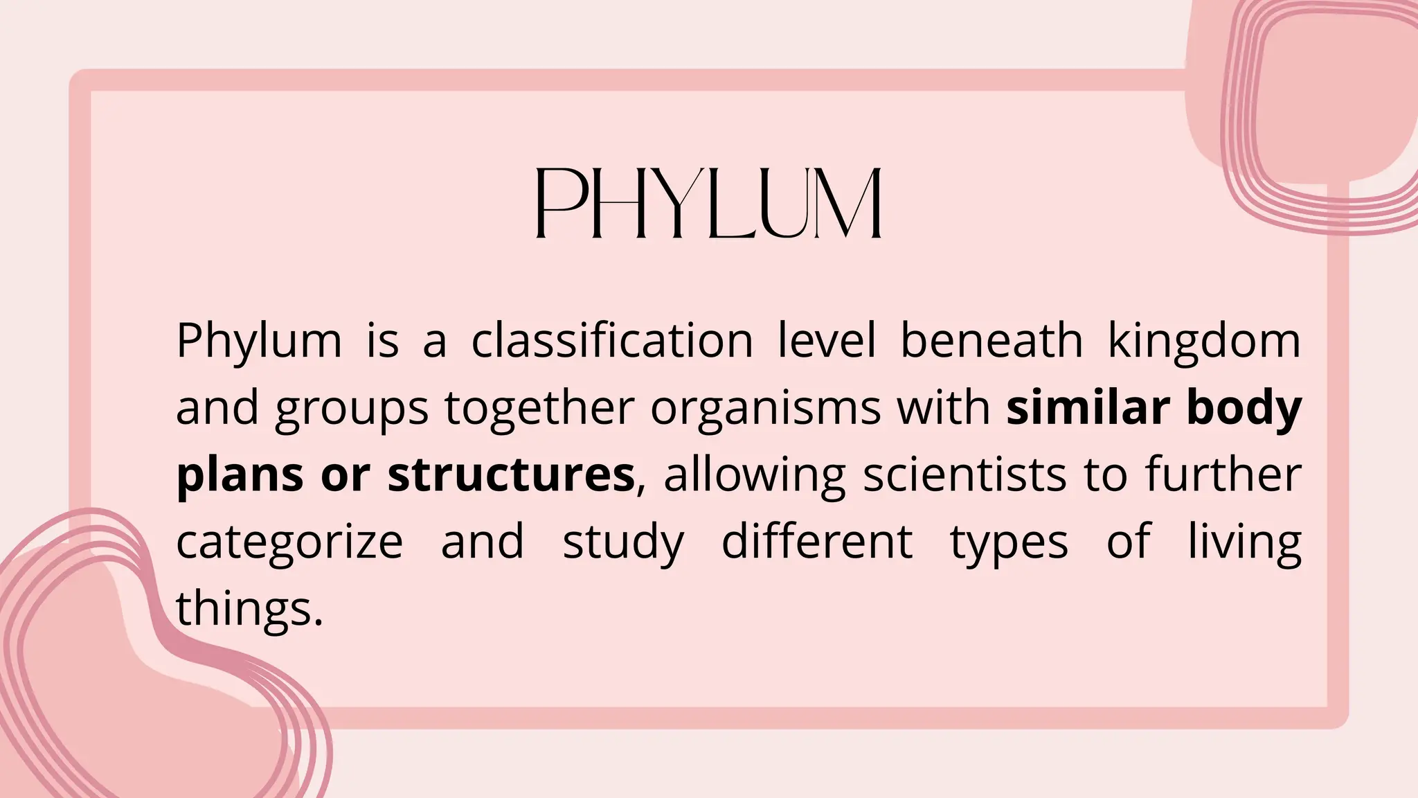 Phylum is a classification level beneath kingdom
and groups together organisms with similar body
plans or structures, allowing scientists to further
categorize and study different types of living
things.
 