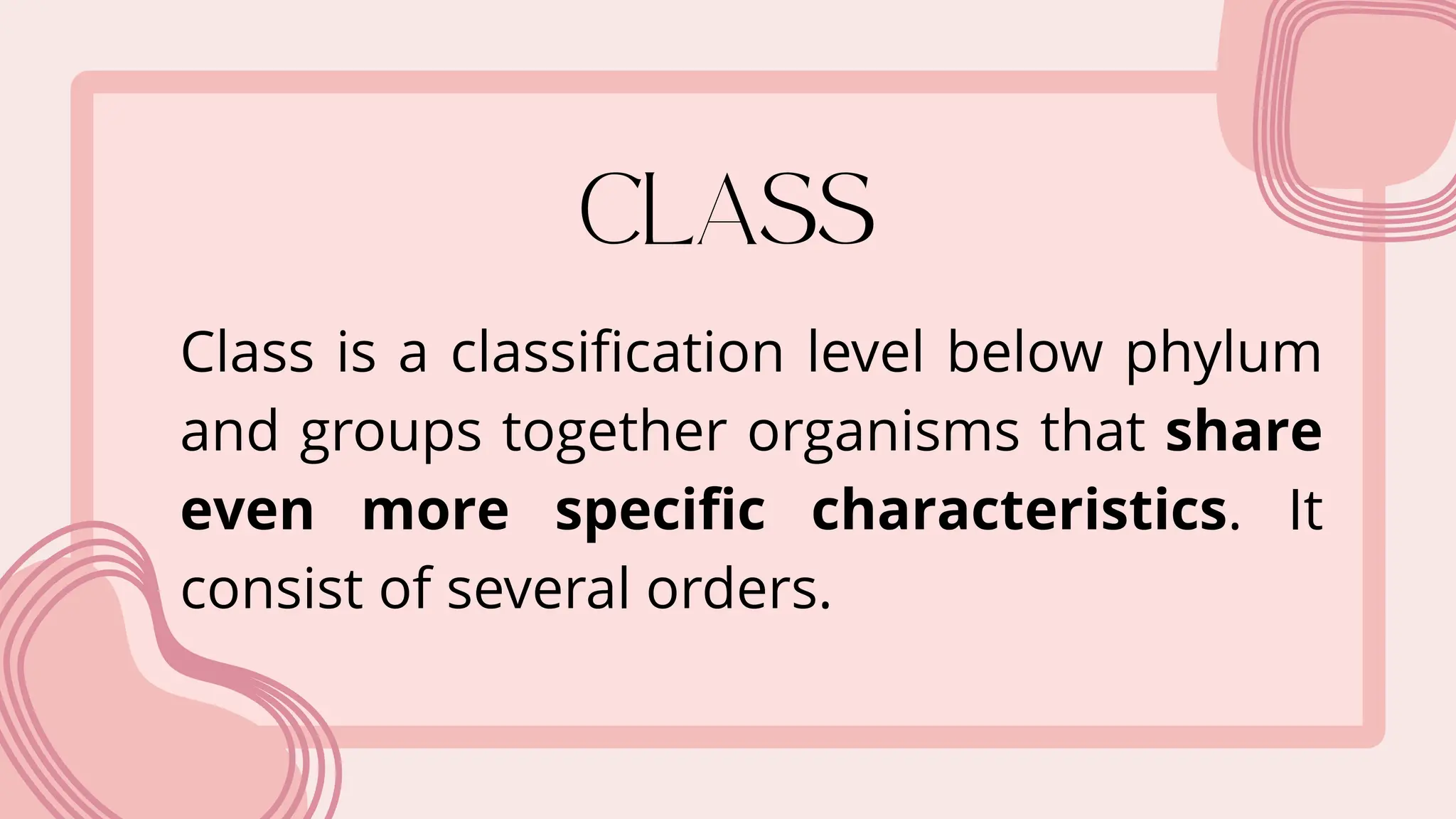 Class is a classification level below phylum
and groups together organisms that share
even more specific characteristics. It
consist of several orders.
 