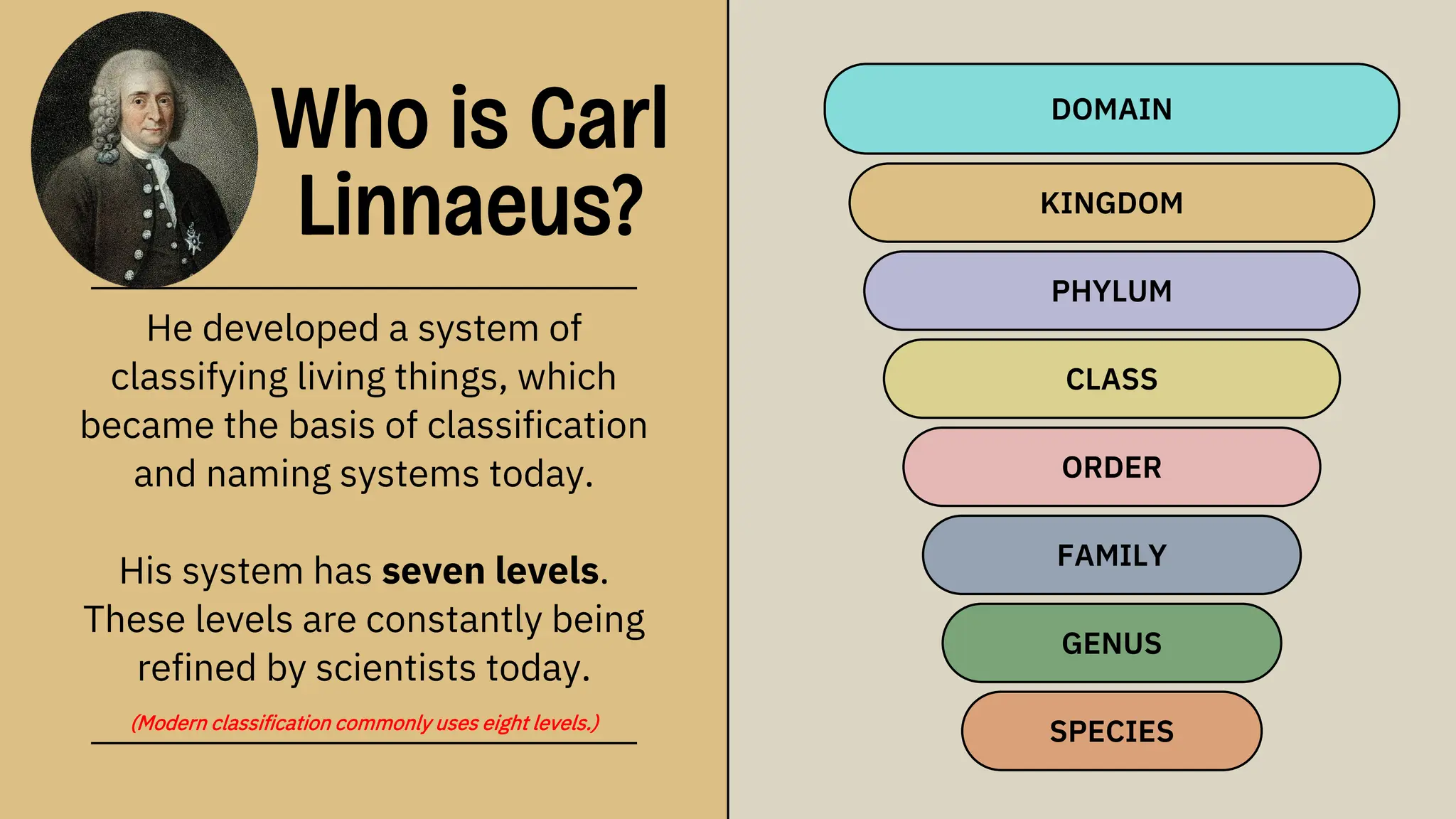 KINGDOM
PHYLUM
CLASS
ORDER
FAMILY
GENUS
SPECIES
DOMAIN
He developed a system of
classifying living things, which
became the basis of classification
and naming systems today.
His system has seven levels.
These levels are constantly being
refined by scientists today.
(Modern classification commonly uses eight levels.)
Who is Carl
Linnaeus?
 