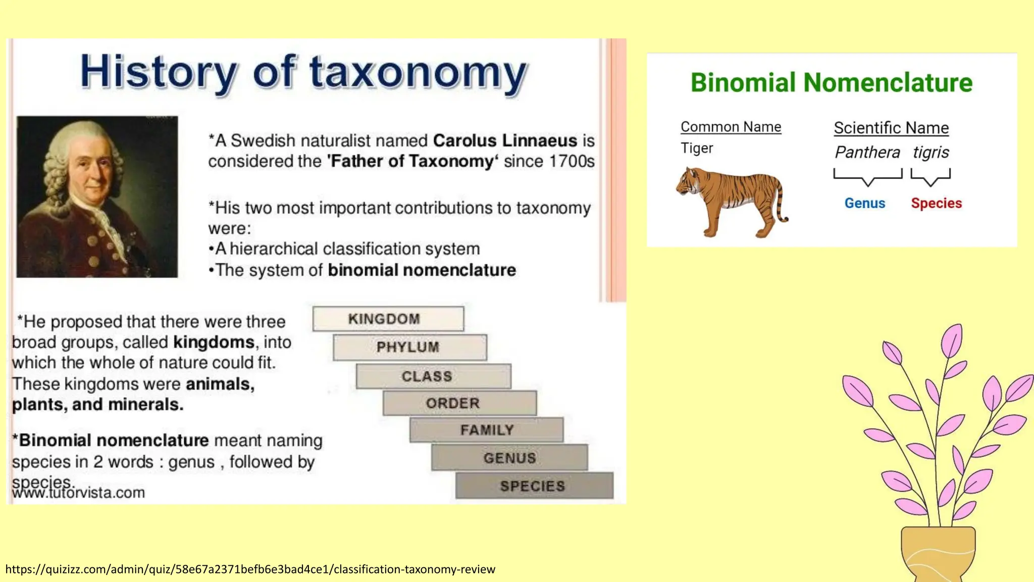https://quizizz.com/admin/quiz/58e67a2371befb6e3bad4ce1/classification-taxonomy-review
 