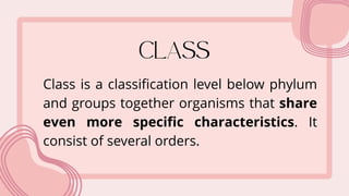 LESSON 15 Classification SyYREWCTFGHUBTHVGCstems DOMAINS & KINGDOMS.pdf