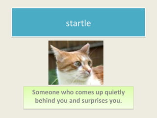startle Someone who comes up quietly behind you and surprises you. 