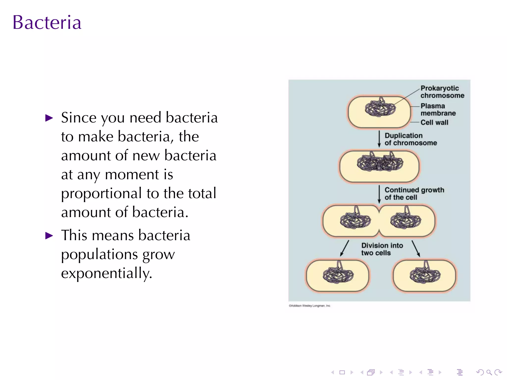 Bacteria



     Since	you	need	bacteria
     to	make	bacteria, the
     amount	of	new	bacteria
     at	any	moment	is
     proportional	to	the	total
     amount	of	bacteria.
     This	means	bacteria
     populations	grow
     exponentially.




                                 .   .   .   .   .   .
 