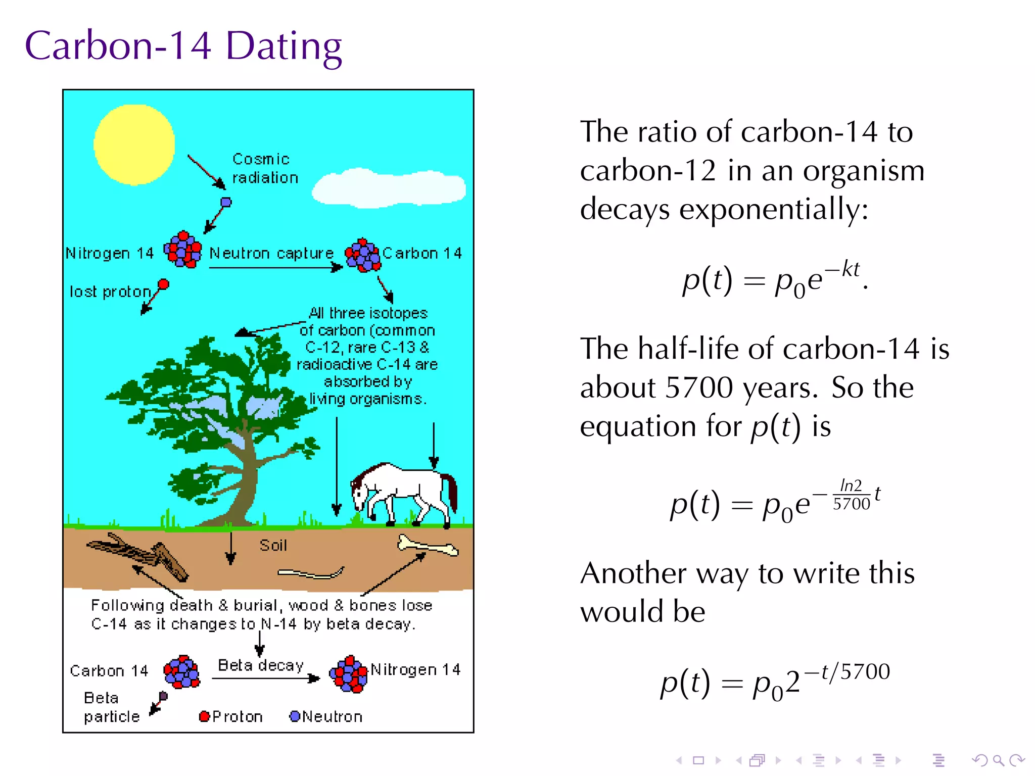 Carbon-14	Dating

                   The	ratio	of	carbon-14	to
                   carbon-12	in	an	organism
                   decays	exponentially:

                              p(t) = p0 e−kt .

                   The	half-life	of	carbon-14	is
                   about	5700	years. So	the
                   equation	for p(t) is
                                           ln2
                          p(t) = p0 e− 5700 t

                   Another	way	to	write	this
                   would	be

                         p(t) = p0 2−t/5700

                          .       .    .    .    .   .
 