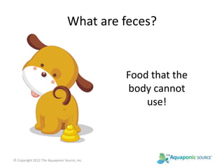 What are feces? 
Food that the 
body cannot 
use! 
© Copyright 2012 The Aquaponic Source, Inc. 

