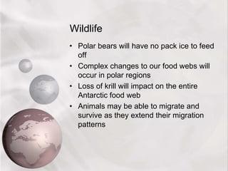 Wildlife
• Polar bears will have no pack ice to feed
off
• Complex changes to our food webs will
occur in polar regions
• Loss of krill will impact on the entire
Antarctic food web
• Animals may be able to migrate and
survive as they extend their migration
patterns
 