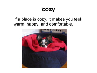 cozy ,[object Object]