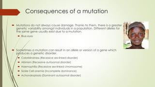 Consequences of a mutation
 Mutations do not always cause damage. Thanks to them, there is a greater
genetic variability amongst individuals in a population. Different alleles for
the same gene usually exist due to a mutation.
 Blue eyes
 Sometimes a mutation can result in an allele or version of a gene which
produces a genetic disorder.
 Colorblindness (Recessive sex-linked disorder)
 Albinism (Recessive autosomal disorder)
 Haemophilia (Recessive sex-linked chromosome)
 Sickle Cell anemia (Incomplete dominance)
 Achondroplasia (Dominant autosomal disorder)
 