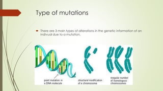 Type of mutations
 There are 3 main types of alterations in the genetic information of an
indivual due to a mutation.
 