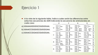 Ejercicio 1
 A la vista de la siguiente tabla, indica cuales serán las diferencias entre
estas tres secuencias de ADN indicando la secuencia de aminoácidos en
cada caso:
a) UUAAAUGGGGCGUGGGAA;
b) UUAACCGGGGCGUGGGAA;
c) UUAACCGGAGCGUGGGAA.
 