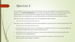Ejercicio 2
Al comparar la secuencia de aminoácidos de la hemoglobina procedente de un
enfermo de anemia falciforme con la de una persona sana, se observa que sólo se
diferencian en un aminoácido, el sexto de los 146 que forman la cadena. Si
observamos la cadena de nucleótidos para los 6 primeros aminoácidos vemos :
Secuencia de nucleótidos para la Hemoglobina Normal HbA
 CTG ATC CCT GAG GAG AAG TCT
Secuencia de nucleótidos para la Hemoglobina causante de anemia falciforme HbS
 CTG ATC CCT GTG GAG AAG TCT
1. Compara la secuencia de nucleótidos en el alelo normal y en el responsable de
la anemia falciforme. ¿En qué se diferencian?
2. ¿Qué tipo de mutación es la que causó esta diferencia? ¿En qué resulta esta
mutación a nivel peptídico?
3. ¿Qué ocurre con la función de una proteína cuando su secuencia de
aminoácidos sufre algún cambio?
 