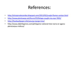 References: 
• http://elviajerodezambo.blogspot.com/2013/02/jungle-flames-santan.html 
• http://www.plantswap.net/forum/f3/foliage-caught-my-eye-7691/ 
• http://foodwallpaper.info/young-mango-tree/ 
• http://www.allphilippines.com/philippine-national-tree-narra-or-agana-pterocarpus- 
indicus/ 
