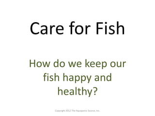 Care for Fish 
How do we keep our 
fish happy and 
healthy? 
Copyright 2012 The Aquaponic Source, Inc. 
 