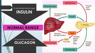 To decrease blood sugar
INSULIN
To increase blood sugar
GLUCAGON
NORMAL RANGE
 