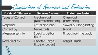 Points of Difference Nervous System Endocrine System
Types of Control Mechanical
(Neurotransmitters)
Chemical
(Hormones)
Respond Faster and brief Slower but long-lasting
Carried by Nerve cells Blood
Message sent to Specific cell or
tissue
Throughout the body
Received by Effector (Target
tissue or organ)
Target Organ
Comparison of Nervous and Endocrine
 