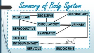 Summary of Body System
ENDOCRINE
DIGESTIVE
CIRCULATORY
NERVOUS
RESPIRATORY
URINARY
LYMPHATIC
REPRODUCTIVE
MUSCULAR
SKELETAL
INTEGUMENTARY
(frog)
 
