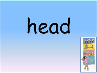 head 