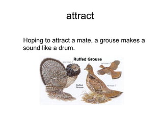 attract  ,[object Object]