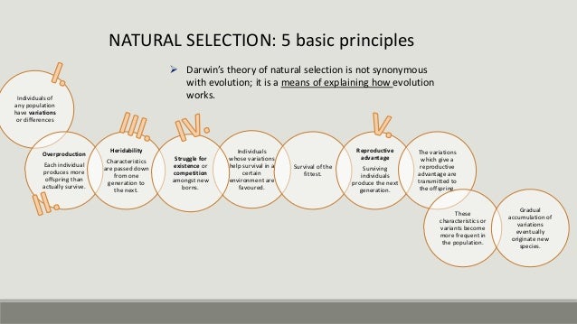 two theories on the nature of To this day, how exactly to define intelligence is still debated there are, however, two major schools of thought on its nature and properties this paper examines and evaluates the two opposing theories on the nature of intelligence the two opposing theories of intelligence are the one general. two theories on the nature of To this day, how exactly to define intelligence is still debated there are, however, two major schools of thought on its nature and properties this paper examines and evaluates the two opposing theories on the nature of intelligence the two opposing theories of intelligence are the one general.