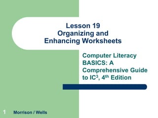 Lesson 19
Organizing and
Enhancing Worksheets
Computer Literacy
BASICS: A
Comprehensive Guide
to IC3, 4th Edition

1

Morrison / Wells

 