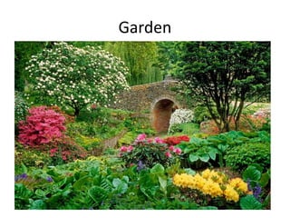 Garden 
 