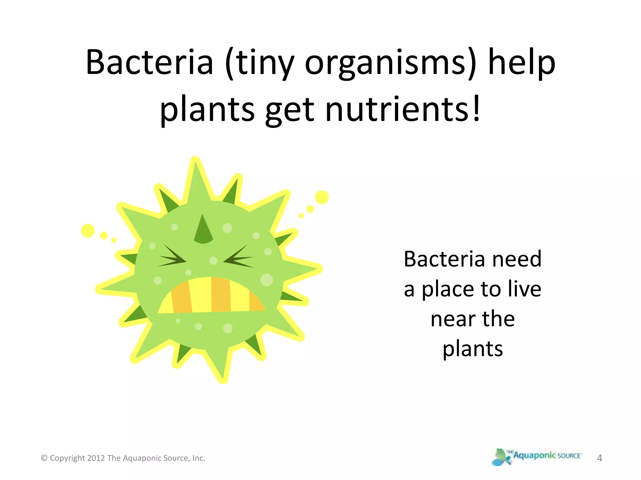 Bacteria (tiny organisms) help 
plants get nutrients! 
Bacteria need 
a place to live 
near the 
plants 
© Copyright 2012 The Aquaponic Source, Inc. 4 
 