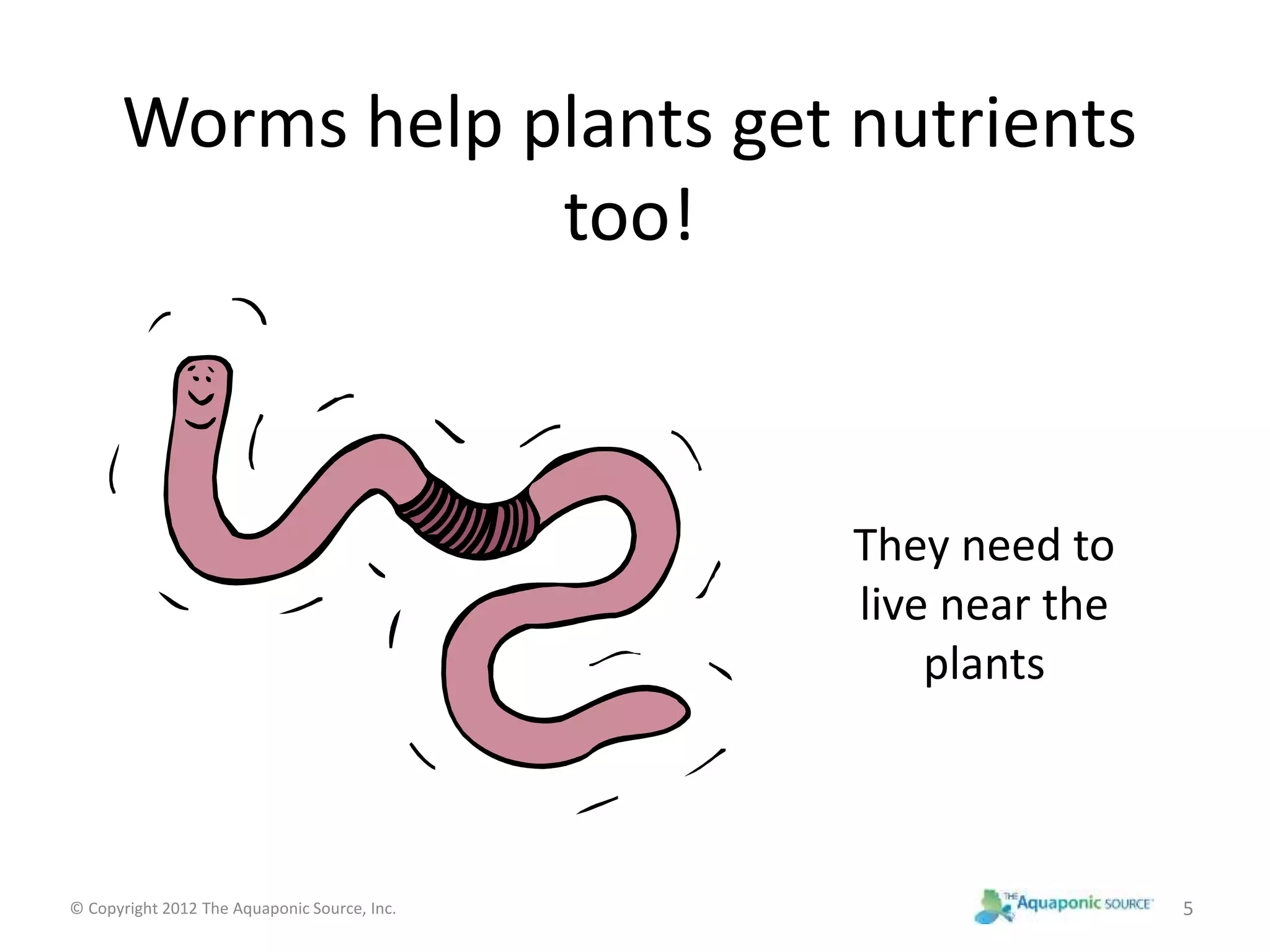 Worms help plants get nutrients 
too! 
They need to 
live near the 
plants 
© Copyright 2012 The Aquaponic Source, Inc. 5 
 