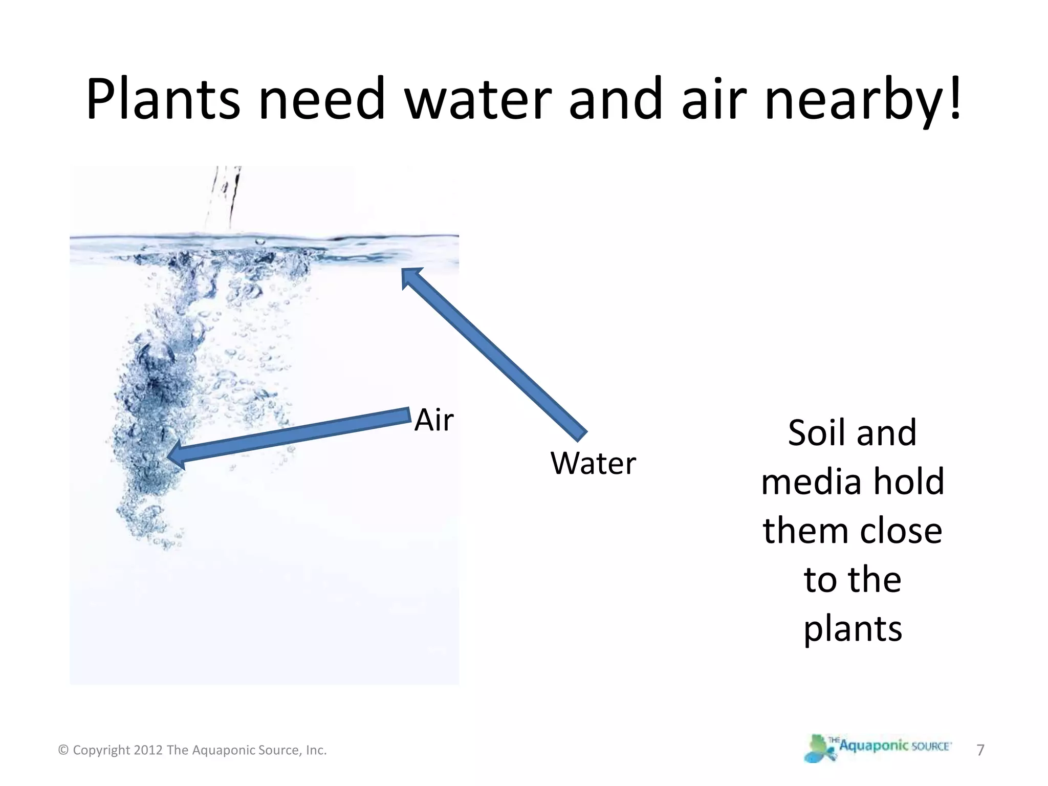 Plants need water and air nearby! 
Air 
Water 
Soil and 
media hold 
them close 
to the 
plants 
© Copyright 2012 The Aquaponic Source, Inc. 7 
 