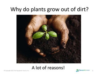 Why do plants grow out of dirt? 
A lot of reasons! 
© Copyright 2012 The Aquaponic Source, Inc. 2 
 
