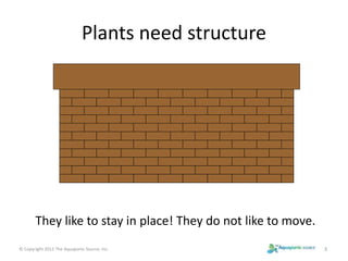 Plants need structure 
They like to stay in place! They do not like to move. 
© Copyright 2012 The Aquaponic Source, Inc. 3 
 