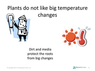 Plants do not like big temperature 
changes 
Dirt and media 
protect the roots 
from big changes 
© Copyright 2012 The Aquaponic Source, Inc. 8 
 