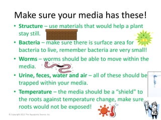 Make sure your media has these! 
• Structure – use materials that would help a plant 
stay still. 
• Bacteria – make sure there is surface area for 
bacteria to live, remember bacteria are very small! 
• Worms – worms should be able to move within the 
media. 
• Urine, feces, water and air – all of these should be 
trapped within your media. 
• Temperature – the media should be a “shield” to 
the roots against temperature change, make sure 
roots would not be exposed! 
© Copyright 2012 The Aquaponic Source, Inc. 9 
