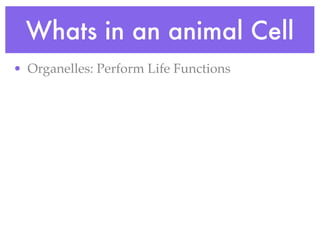 Whats in an animal Cell
• Organelles: Perform Life Functions
 