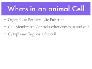 Whats in an animal Cell
• Organelles: Perform Life Functions
• Cell Membrane: Controls what comes in and out
• Cytoplasm: Supports the cell
 